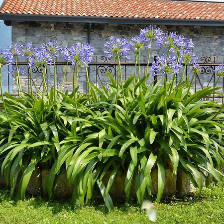 Apartamento Casa Giardino fiorito San Siro  Exterior foto