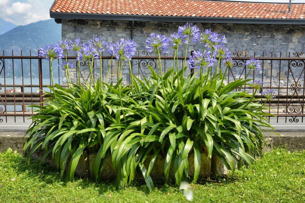 Apartamento Casa Giardino fiorito San Siro  Exterior foto