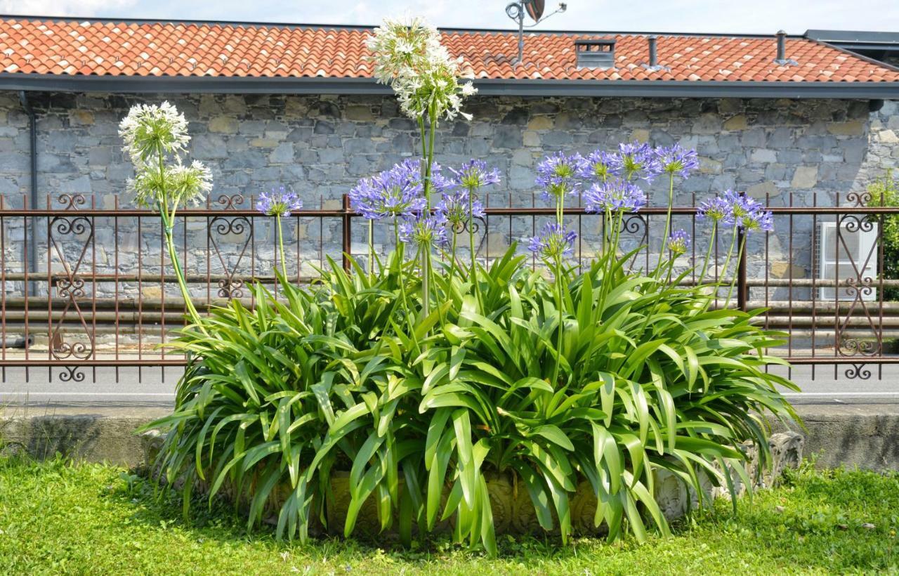 Apartamento Casa Giardino fiorito San Siro  Exterior foto